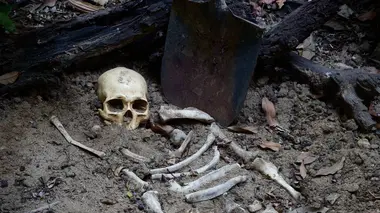 Le meilleur ami de l'homme