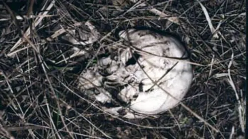 Secrets enterrés S03E18 Mystère en Floride