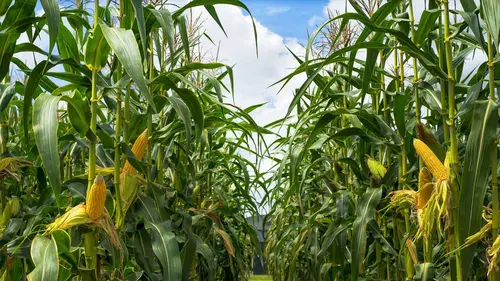 Casting Secrets enterrés S02E01 Les secrets de famille