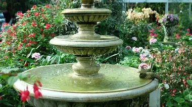 Au-delà des apparences