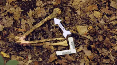 Secrets enterrés S03E07 Affaire Samuels : une amitié trahie