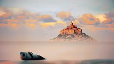 Mont-Saint-Michel, la baie des merveilles