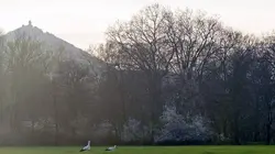 Secrets sauvages du patrimoine