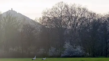 Haut-Koenigsbourg, chroniques d'une nature assiégée