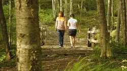 Visuel de Secte, mode d'emploi