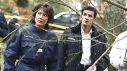 Section de recherches