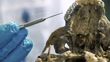 Crash de la Germanwings, la science en première ligne