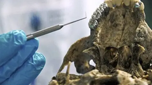 Section scientifique E01 Crash de la Germanwings, la science en première ligne