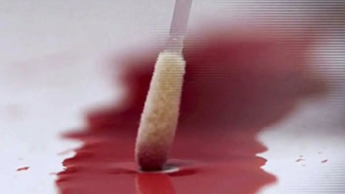 Section scientifique E03 Affaire Flactif, la preuve par le sang