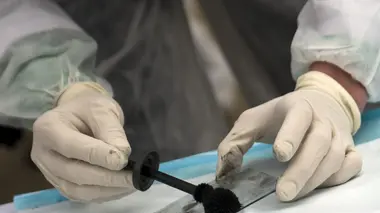 Section scientifique Affaire Flactif, la preuve par le sang