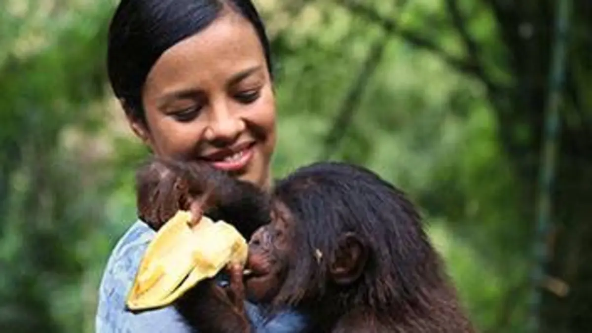 Séductions animales