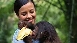 Séductions animales