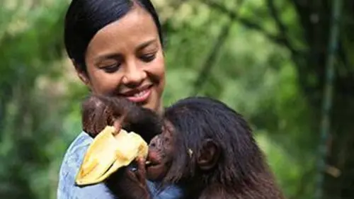 Séductions animales