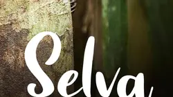 Selva, la forêt sous les tropiques