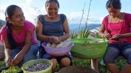 Semences, la résistance s'organise