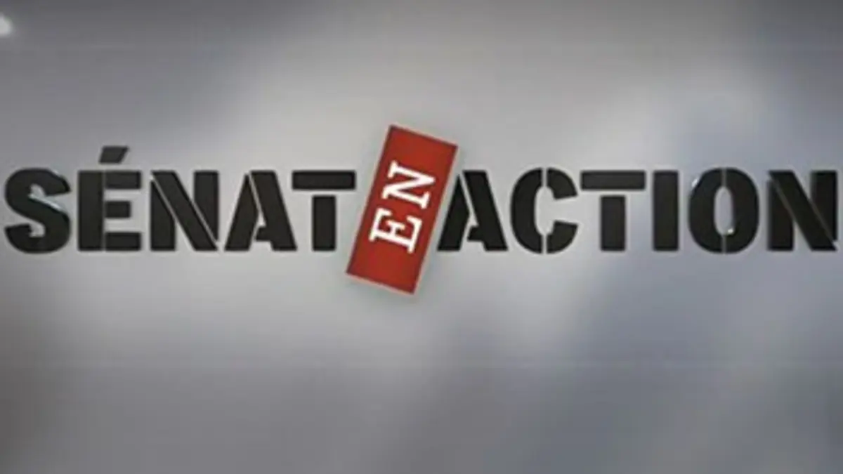 Sénat en action Patrimoine : la grande loterie ?