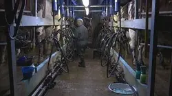 Visuel de Sénat en action