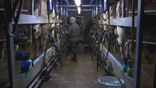 Sénat en action Brexit, la nouvelle frontière