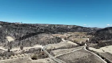 Sébastien Pla, la crise viticole