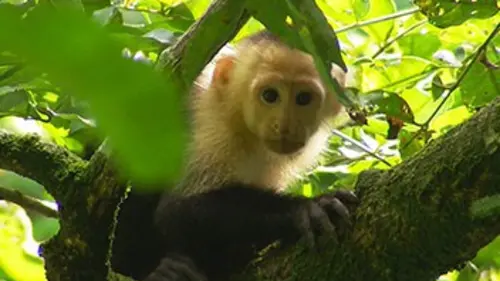 Sentinelles de la nature Nicaragua