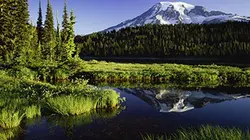 Sentinelles de la nature S03E04 Washington