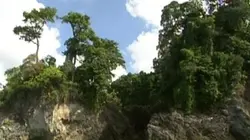 Sentinelles de la nature E02 Costa Rica