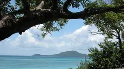 Sentinelles de la nature E03 Mayotte