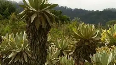 La Colombie