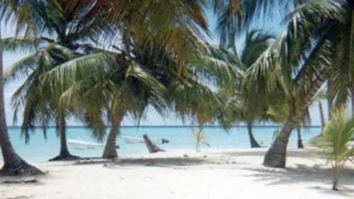 Sentinelles de la nature E29 La Polynésie