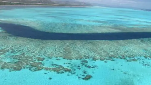 Sentinelles de la nature E25 La Nouvelle-Calédonie