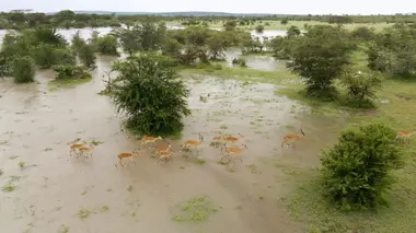 La loi de la nature
