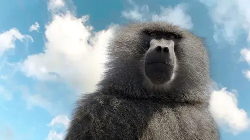 Casting Serengeti, la grande cavalcade des animaux Le temps de la résurrection