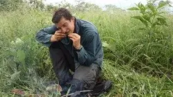 Visuel de Seul face à la nature