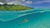 Seul sur l'atoll, journal d'un naufragé volontaire