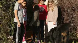 Sur France 4 à 23h00 : Seuls à la maison