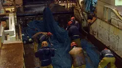 Visuel de Seuls en mer