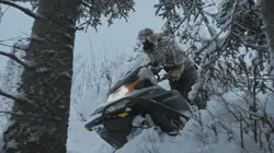 Seuls face à l'Alaska