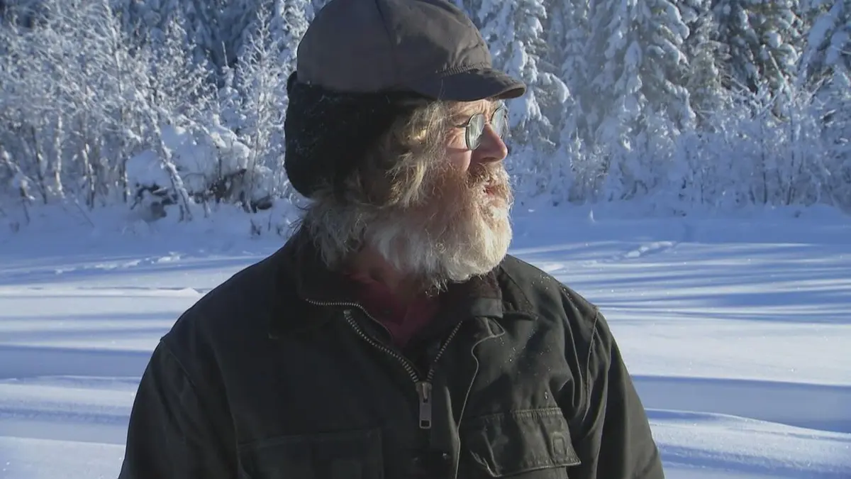 Seuls face à l'Alaska La meute de loups