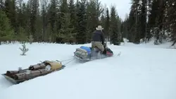 Visuel de Seuls face à l'Alaska
