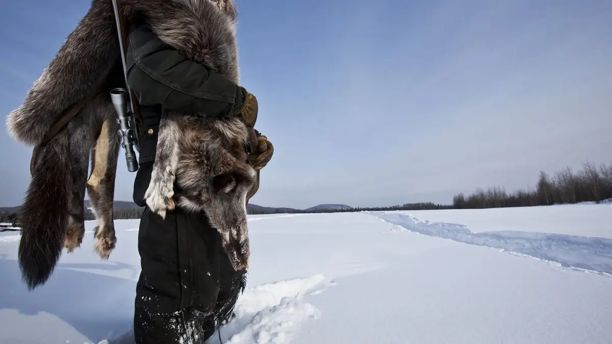 Seuls face à l'Alaska Règlement de comptes