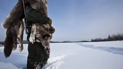 Visuel de Seuls face à l'Alaska