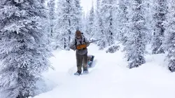 Seuls face à l'Alaska Le point de non-retour