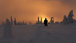 Seuls face à l'Alaska Instinct meurtrier