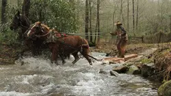 Seuls face à l'Alaska Vortex polaire