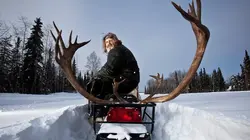 Seuls face à l'Alaska Survivre à la nature