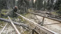 Seuls face à l'Alaska Pris au piège