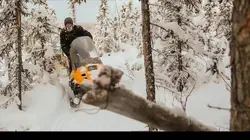 Seuls face à l'Alaska Une proie inhabituelle