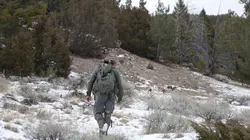 Seuls face à l'Alaska Alerte Coyote