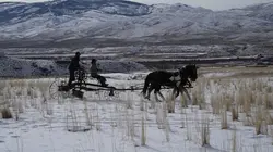 Seuls face à l'Alaska Inarrêtable