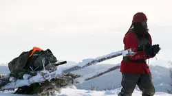 Seuls face à l'Alaska Boulevard du lion